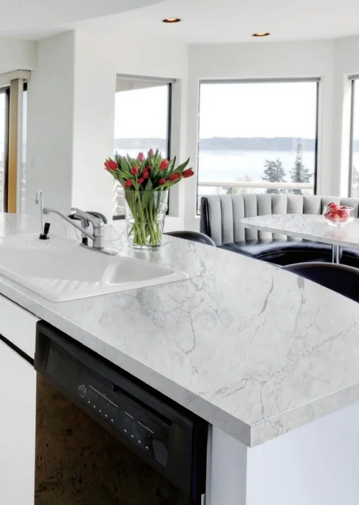 ALLURE PL11008 · Blanco con vetas ramificadas · Piedra & travertino · Ref. PL11008 · vista 3